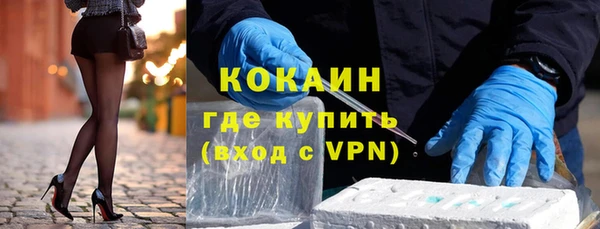 гидра Надым