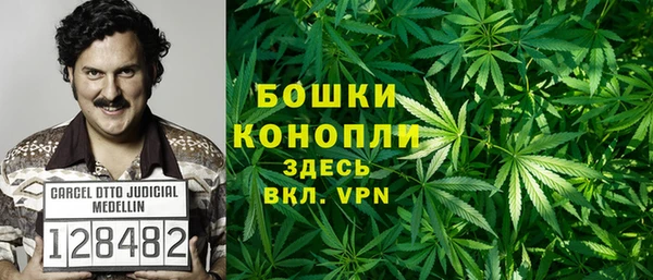 гидра Надым