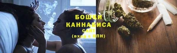 гидра Надым