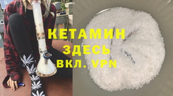 гидра Надым