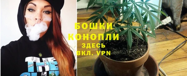 гидра Надым