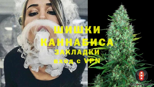 гидра Надым