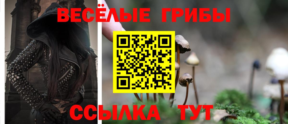 Петрозаводск  Галлюциногенные грибы прущие грибы  Вход с VPN  хочу наркоту  Псилоцибиновые грибы мицелий 